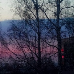 Дмитрий Иванов, 13.03, Москва