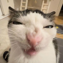 Антонина Вороненко, 04.03.2007, Самара