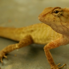 Сергей Хайлов, 18.01, Санкт-Петербург