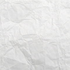 Виталий Рой, 03.02.2007, Киев