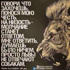 Шахмурад Алиев, 03.10.1991, Каякент
