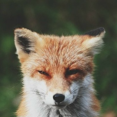 Наталья Маркина, 30.05