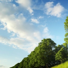 Меруерт Бескенова, 03.01, Шымкент