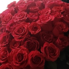 Dulma Budaeva, 20.02, Догой