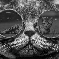 Герман Кирюхин, 11.11.1991, Москва