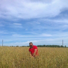 Александр Мингалёв