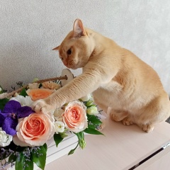 Евгения З, Магадан