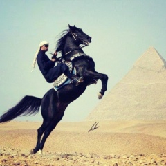 Мартин Унежев, 04.06, Санкт-Петербург