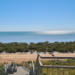 Виталий Страшко, 30.08.1980, Санкт-Петербург