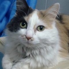 Илья Чечель, 29.12, Уссурийск