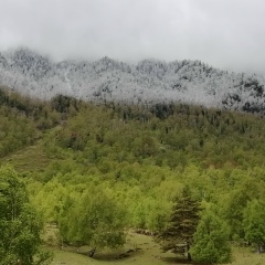 Алексей Михалыч, 10.05, Томск