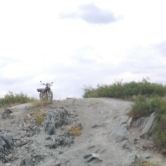 Александр Лукьяненко, 17.09.1987, Актобе