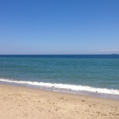 Дарья Василенко