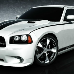 Ризван Нохчо, 29.06.2006, Грозный