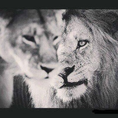 Сергей Сергеев, 28.04.1990, Москва