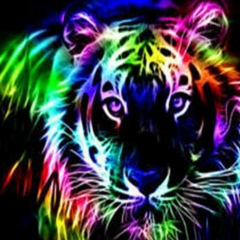 Сметана Дима, Харьков