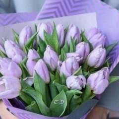 Наталья Анатольевна, 25.04, Петропавловск