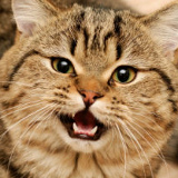 Кристина Фурик, 11.08.1987, Киев