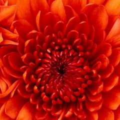 Айнура Рысбаева, Москва