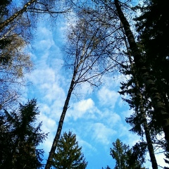 Viktor Allgood, 27.03