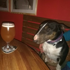 Константин Пулягин, 21.12, Санкт-Петербург