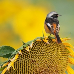 Наталья Артамонова, 25.08.1980, Санкт-Петербург