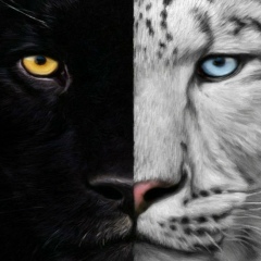 Александр Марков, 13.06, Тверь