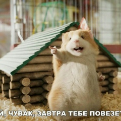 Виталя Березовский