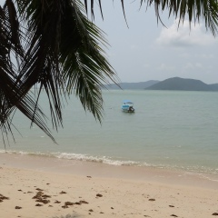 Олесик Гамеляк, 11.08, Москва