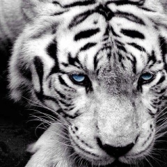 Дмитрий Хорунжа, 29.07, Алматы