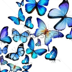 Assel Issabekova, 15.03, Warwick