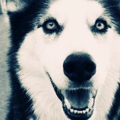 Азым Селимов, 12.09.1901, Нальчик