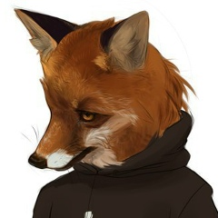 Дмитрий Вавилов, Ухта