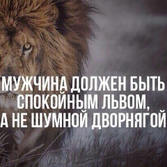 Заур Магомедов, 14.08, Москва