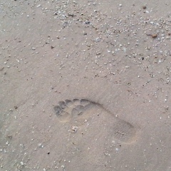 Михаил Девиза, 07.03.1985, Тамбов