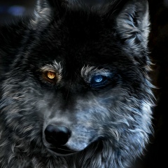 Gevor Simonyan, 10.12.2006, Ереван