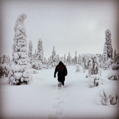 Андрей Иванченко, 10.05