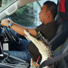 Дима Крестов, 24.01.1987