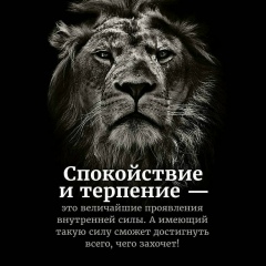 Муслим В, 22.01, Курчалой