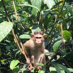 Антон Лысаков, 24.01.1988, Краснодар