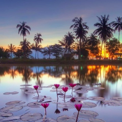 Khit Layoung, 15.04.1986, Yangon