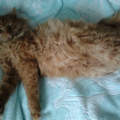 Виктор Перин, 01.05.1985, Киев