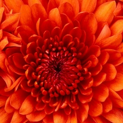 Анна Панферова, 12.05, Нальчик