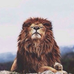 Адлет Кащапов, 14.09