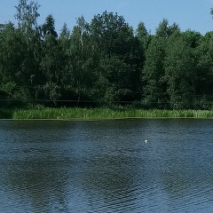 Наталья Зиновьева, 04.08, Санкт-Петербург