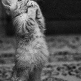 Владимир Серебряков