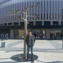 Тимур Мамедов, 19.12