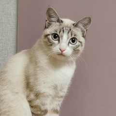 Анна Иванова, 08.05, Санкт-Петербург