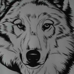 Alex Alex, 28.11.1999, Кишинев