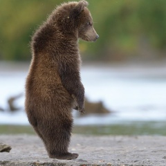 Дмитрий Спиридонов, 06.07.1974, Санкт-Петербург